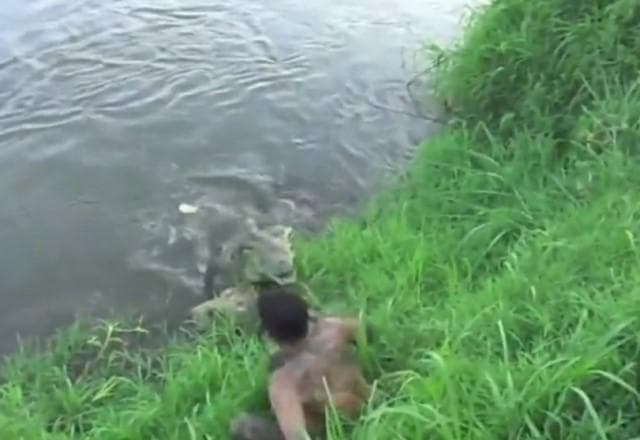 Jacaré tenta atacar fotógrafo na beira do lago